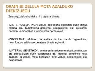 ORAIN BI ZELULA MOTA AZALDUKO
DIZKIZUEGU
Zelula guztiek oinarrizko hiru egitura dituzte:
-MINTZ PLASMATIKOA: zelula oso-osorik estaltzen duen mintz
mehea da. Substantzia-igarotzea erregulatzen du: zelularen
barnetik kamporakoa eta kampotik barnerakoa.
-ZITOPLAMA: zelularen barnealdea da han daude organuluak;
hots, funtzio zelularrak betetzen dituzte egiturak.
-MATERIAL GENETIKOA: zelularen funtzionamendua kontrolatzen
eta erregulatzen duen substantzia da. Material genetikoa nola
dagoen, bi zelula mota bereizten dira: Zelula prokariotoak eta
eukariotoak.
 