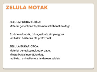 ZELULA MOTAK
ZELULA PROKARIOTOA:
Material genetikoa zitoplasman sakabanatuta dago.
Ez dute nukleorik, txikiagoak eta simpleagoak
-adibidez: bakteriak eta protozooak
ZELULA EUKARIOTOA:
Material genetikoa nukleoak dago.
Mintza batez inguratuta dago
-adibidez: animalien eta landareen zelulak
 