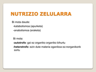 NUTRIZIO ZELULARRA
Bi mota daude:
-katabolismoa (apurketa)
-anabolismoa (eraketa)
Bi mota:
-autotrofo: gai ez organiko organiko bihurtu
-heterotrofo: ezin dute materia oganikoa ez-norganikorik
sortu
 