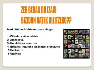 Izaki bizidunok bizi- funtzioak ditugu:
1- Elikadura eta nutrizioa.
2- Arnasketa.
3- Hondakinak askatzea
4- Erlazioa: ingurune aldaketeei erantzutea
5-Hazkuntza
6-Ugalketa
7-Antolaketa
 