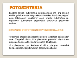 FOTOSINTESIA
Landare-zelulak substantzia ez-organikoak eta argi-energia
erabiz gai dira materia organikoak sortzeko. fotosintesia egiten
dute. fotosintesia eguzkiaren argia erabiliz substantzia ez-
organikoa substantzia organikoan bihurtzeko prozesuari
deritzo
ERREAKZIO ETA FOTOSINTESI-PROZESUKO ALDIAK:
Fotosintesi prozesuak anabolikoa da eta landareek soilik egiten
dute. Zergatik? Bada, kloroplastoetan gertatzen delako eta
organulo horiek soilek landare-zelulek dituztelako.
Kloroplastoetan, ura, karbono dioxidoa eta gatz mineralak
komposatu kimikoak bihurtzen dira; glukosa batez , ere.
 