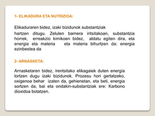 1- ELIKADURA ETA NUTRIZIOA:
Elikaduraren bidez, izaki bizidunok substantziak
hartzen ditugu. Zelulen barnera iritsitakoan, substantzia
horrek, erreakzio kimikoen bidez, aldatu egiten dira, eta
energia eta materia eta materia bihurtzen da: energia
ezinbestea da
2- ARNASKETA:
Arnasketaren bidez, irentsitako elikagaiek duten energia
lortzen dugu izaki bizidunok. Prozesu hori gertatzeko,
oxigenoa behar izaten da, gehienetan, eta beti, energia
sortzen da, bai eta ondakin-substantziak ere: Karbono
dioxidoa botatzen.
 