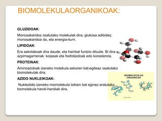 BIOMOLEKULAORGANIKOAK:
GLUZIDOAK:
Monosakaridoz osatutako molekulak dira; glukosa adibidez,
monosakaridoa da, eta energia-iturri.
LIPIDOAK:
Era askotakoak dira daude, eta hainbat funtzio dituzte. Bi dira
azpimagarrienak: koipeak eta fosfolipidoak edo koresterola.
PROTEINAK:
Aminoazidoak izeneko molekula askoren bat-egiteaz osatutako
biomolekulak dira.
AZIDO NUKLEIKOAK:
Nukleotido izeneko miomolekula txikien bat eginez eratutako
biomolekula handi-handiak dira.
 