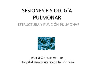 SESIONES FISIOLOGíA
PULMONAR
ESTRUCTURA Y FUNCIÓN PULMONAR

María Celeste Marcos
Hospital Universitario de la Princesa

 