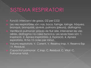 






Funció: intercanvi de gasos. O2 per CO2
Les vies respiratòries són: nas, boca, faringe, laringe, tràquea,
bronquis, bronquíols, alvèols, pulmons (pleura), diafragma.
Ventilació pulmonar: procés de fluir aire, intervenen les vies
aèries, diafragma i la caixa toràcica. Les seves fases són: 1.
Inspiració. 2. Apnea inspiratòria. 3. Espiració. 4. Apnea
espiratòria. Hi ha 15 cicles per minut.
Volums respiratoris: V. Corrent, V. Reserva Insp, V. Reserva Esp
i V. Residual.
Capacitat pulmonar: C.Insp, C. Residual, C. Vital i C.
Pulmonar total.

 