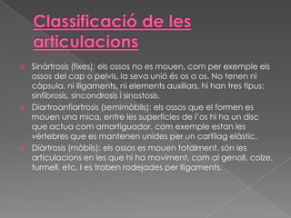 





Sinàrtrosis (fixes): els ossos no es mouen, com per exemple els
ossos del cap o pelvis, la seva unió és os a os. No tenen ni
càpsula, ni lligaments, ni elements auxiliars, hi han tres tipus:
sinfibrosis, sincondrosis i sinostosis.
Diartroanfiartrosis (semimòbils): els ossos que el formen es
mouen una mica, entre les superfícies de l’os hi ha un disc
que actua com amortiguador, com exemple estan les
vèrtebres que es mantenen unides per un cartílag elàstic.
Diàrtrosis (mòbils): els ossos es mouen totalment, són les
articulacions en les que hi ha moviment, com al genoll, colze,
turmell, etc. I es troben rodejades per lligaments.

 