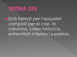  Està

format per l’esquelet,
compost per el cap, la
columna, caixa toràcica,
extremitats inferiors i superiors.

 