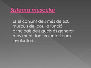 És el conjunt dels més de 600
músculs del cos, la funció
principals dels quals és generar
moviment, tant voluntari com
involuntari.

 