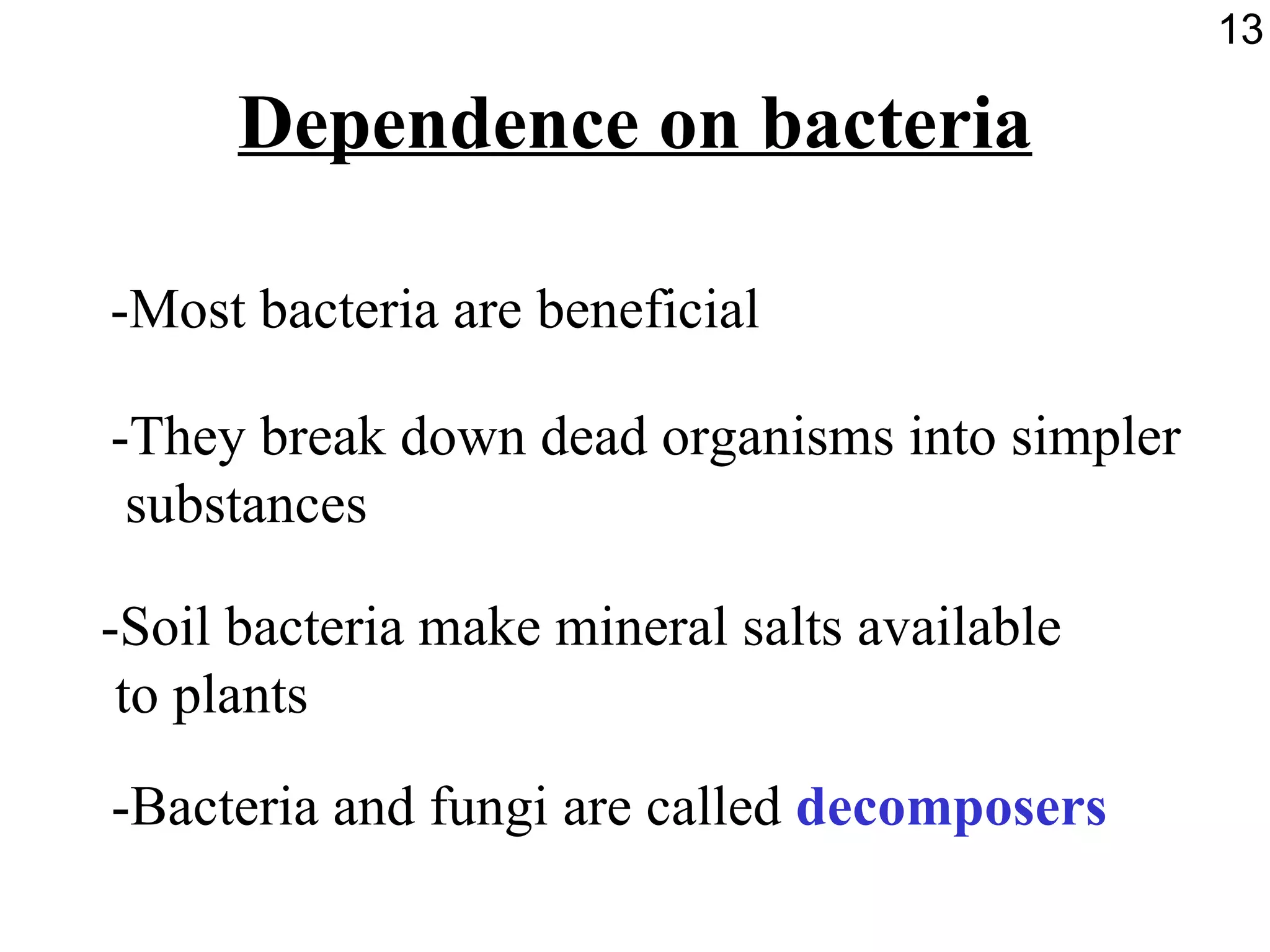 Dependence on bacteria -Most bacteria are beneficial -They break down dead organisms into simpler substances -Soil bacteria make mineral salts available to plants -Bacteria and fungi are called  decomposers 13 