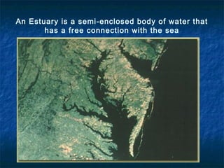 An Estuary is a semi-enclosed body of water that
       has a free connection with the sea
 