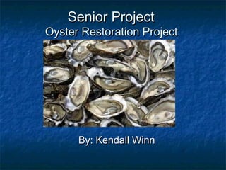 Senior Project
Oyster Restoration Project




      By: Kendall Winn
 