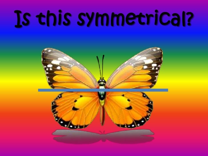 power point for butterfly symmetry symmetry power point