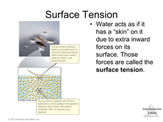Intermolecular
Forces
© 2015 Pearson Education, Inc.
Surface Tension
• Water acts as if it
has a “skin” on it
due to extra inward
forces on its
surface. Those
forces are called the
surface tension.
 