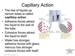 Intermolecular
Forces
© 2015 Pearson Education, Inc.
Capillary Action
• The rise of liquids up
narrow tubes is called
capillary action.
• Adhesive forces attract
the liquid to the wall of
the tube.
• Cohesive forces attract
the liquid to itself.
• Water has stronger
adhesive forces with glass;
mercury has stronger
cohesive forces with itself.
 