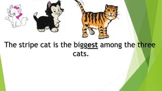 The stripe cat is the biggest among the three
cats.
 