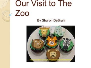 Our Visit to The Zoo By Sharon DeBruhl http://www.flickr.com/photos/chicaandjo/3421359476/ 