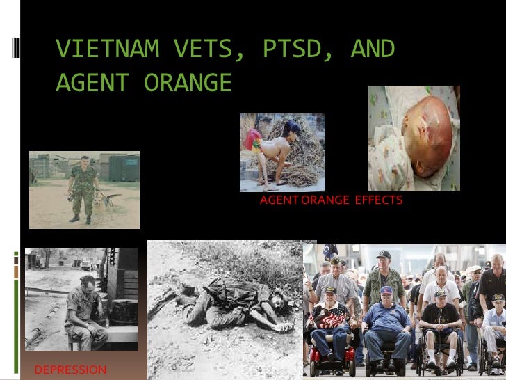 powerpoint for ptsd capstone project