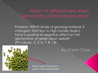 Problem: Will Ph levels of growing material, if
changed, from low to high (acidic-basic),
have a positive or negative affect on the
germination of green bean seeds?
(Ph values: 2, 3, 6, 7, 8, 14)




           These were the beans
           used in the experiment
 