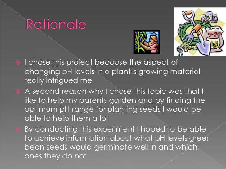 powerpoint for science experiment ppt science project