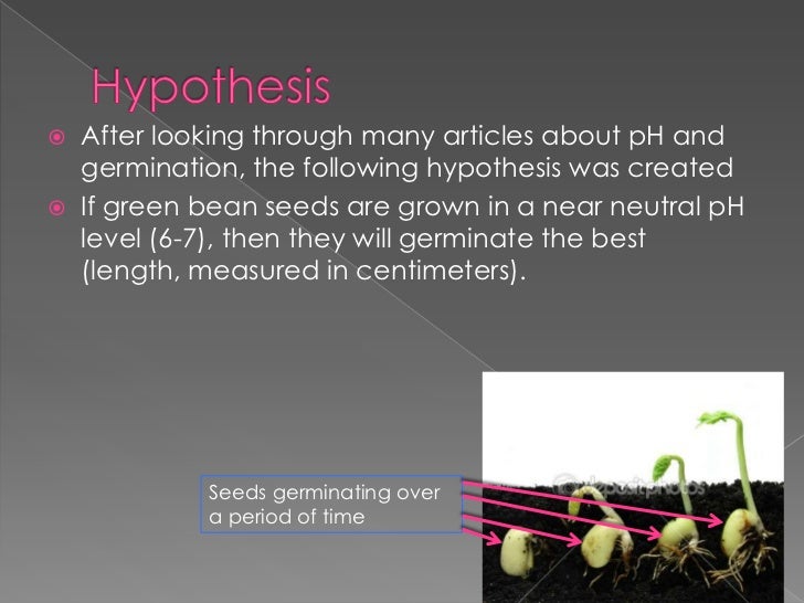 powerpoint for science experiment