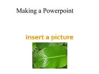 Making a Powerpoint
 