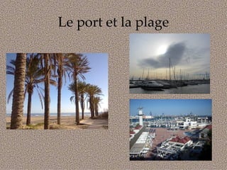 Le port et la plage
 