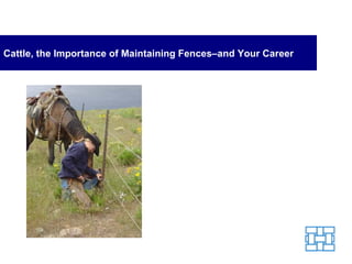 Cattle, the Importance of Maintaining Fences–and Your Career 