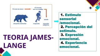 TEORIA JAMES-
LANGE
1. Estimulo
sensorial
/emocional.
2. Percepción del
estimulo.
3. Expresión
emocional.
4. Experiencia
emocional.
 