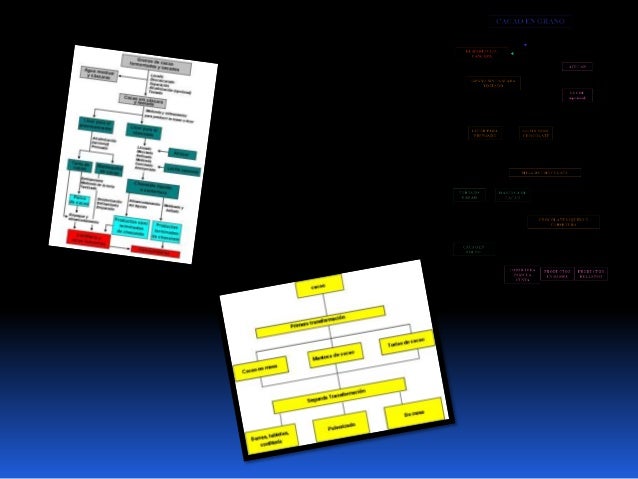 3 C Fyq Grupo Alejandra Lucia Tania Y Miguel