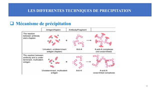 LES DIFFERENTES TECHNIQUES DE PRECIPITATION
16
❑ Mécanisme de précipitation
 