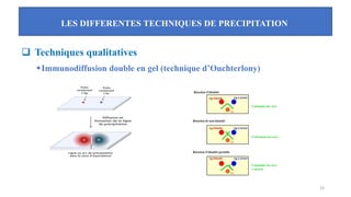 LES DIFFERENTES TECHNIQUES DE PRECIPITATION
23
❑ Techniques qualitatives
▪Immunodiffusion double en gel (technique d’Ouchterlony)
 