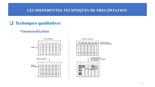 LES DIFFERENTES TECHNIQUES DE PRECIPITATION
31
❑ Techniques qualitatives
▪Immunofixation
 