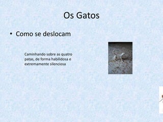 Os Gatos
• Como se deslocam

    Caminhando sobre as quatro
    patas, de forma habilidosa e
    extremamente silenciosa
 