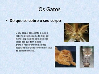 Os Gatos
• De que se cobre o seu corpo

     O seu corpo, consoante a raça, é
     coberto de uma camada mais ou
     menos espessa de pêlo, que nos
     casos das que têm o pêlo
     grande, requerem uma a duas
     escovadelas diárias com uma escova
     de borracha macia.
 
