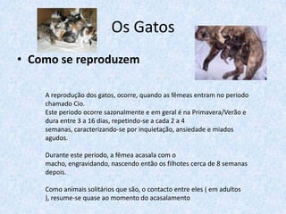 Os Gatos
• Como se reproduzem

    A reprodução dos gatos, ocorre, quando as fêmeas entram no periodo
    chamado Cio.
    Este periodo ocorre sazonalmente e em geral é na Primavera/Verão e
    dura entre 3 a 16 dias, repetindo-se a cada 2 a 4
    semanas, caracterizando-se por inquietação, ansiedade e miados
    agudos.

    Durante este periodo, a fêmea acasala com o
    macho, engravidando, nascendo então os filhotes cerca de 8 semanas
    depois.

    Como animais solitários que são, o contacto entre eles ( em adultos
    ), resume-se quase ao momento do acasalamento
 