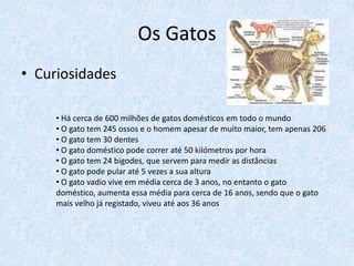 Os Gatos
• Curiosidades

     • Há cerca de 600 milhões de gatos domésticos em todo o mundo
     • O gato tem 245 ossos e o homem apesar de muito maior, tem apenas 206
     • O gato tem 30 dentes
     • O gato doméstico pode correr até 50 kilómetros por hora
     • O gato tem 24 bigodes, que servem para medir as distâncias
     • O gato pode pular até 5 vezes a sua altura
     • O gato vadio vive em média cerca de 3 anos, no entanto o gato
     doméstico, aumenta essa média para cerca de 16 anos, sendo que o gato
     mais velho já registado, viveu até aos 36 anos
 