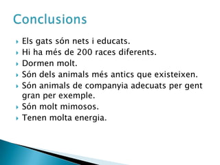 Els gats són nets i educats.Hi ha més de 200 races diferents.Dormen molt.Són dels animals més antics que existeixen.Són animals de companyia adecuats per gent gran per exemple.Són molt mimosos.Tenen molta energia. Conclusions