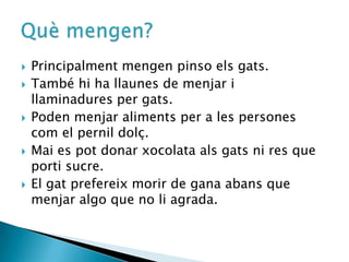 Principalment mengen pinso els gats.També hi ha llaunes de menjar i llaminadures per gats. Poden menjar aliments per a les persones com el pernil dolç.Mai es pot donar xocolata als gats ni res que porti sucre.El gat prefereix morir de gana abans que menjar algo que no li agrada.Quèmengen?