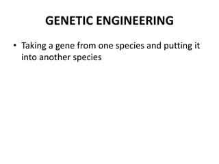 GENETIC ENGINEERING Taking a gene fromonespecies and puttingitintoanotherspecies 