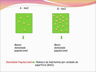 A - km2 B – km2 Menor densidade populacional Maior densidade populacional Densidade Populacional   Número de habitantes por unidade de  superfície (Km2).  