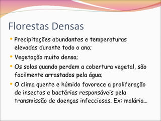 Florestas Densas Precipitações abundantes e temperaturas elevadas durante todo o ano; Vegetação muito densa; Os solos quando perdem a cobertura vegetal, são facilmente arrastados pela água; O clima quente e húmido favorece a proliferação de insectos e bactérias responsáveis pela transmissão de doenças infecciosas. Ex: malária… 