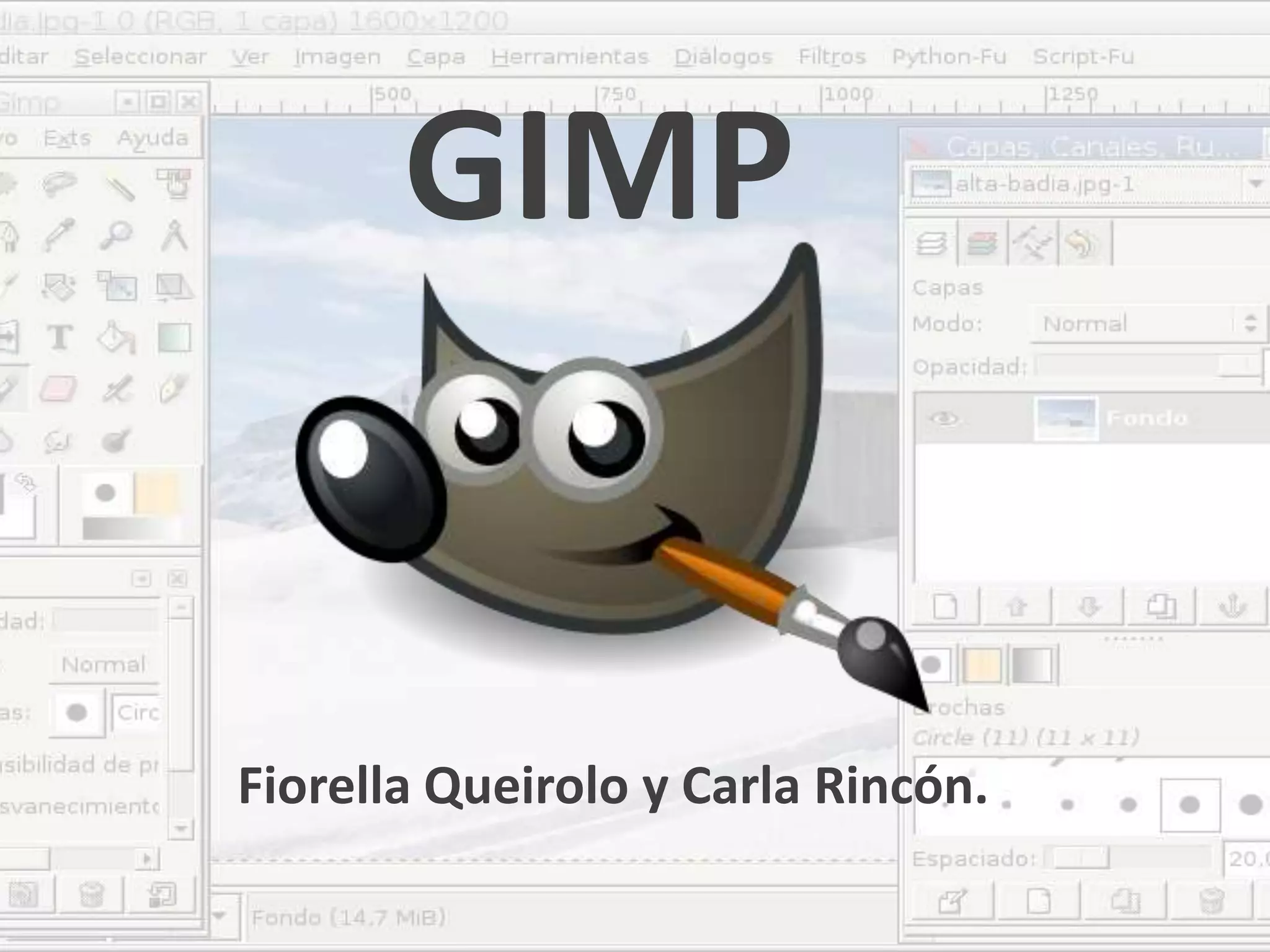 GIMPFiorella Queirolo y Carla Rincón.