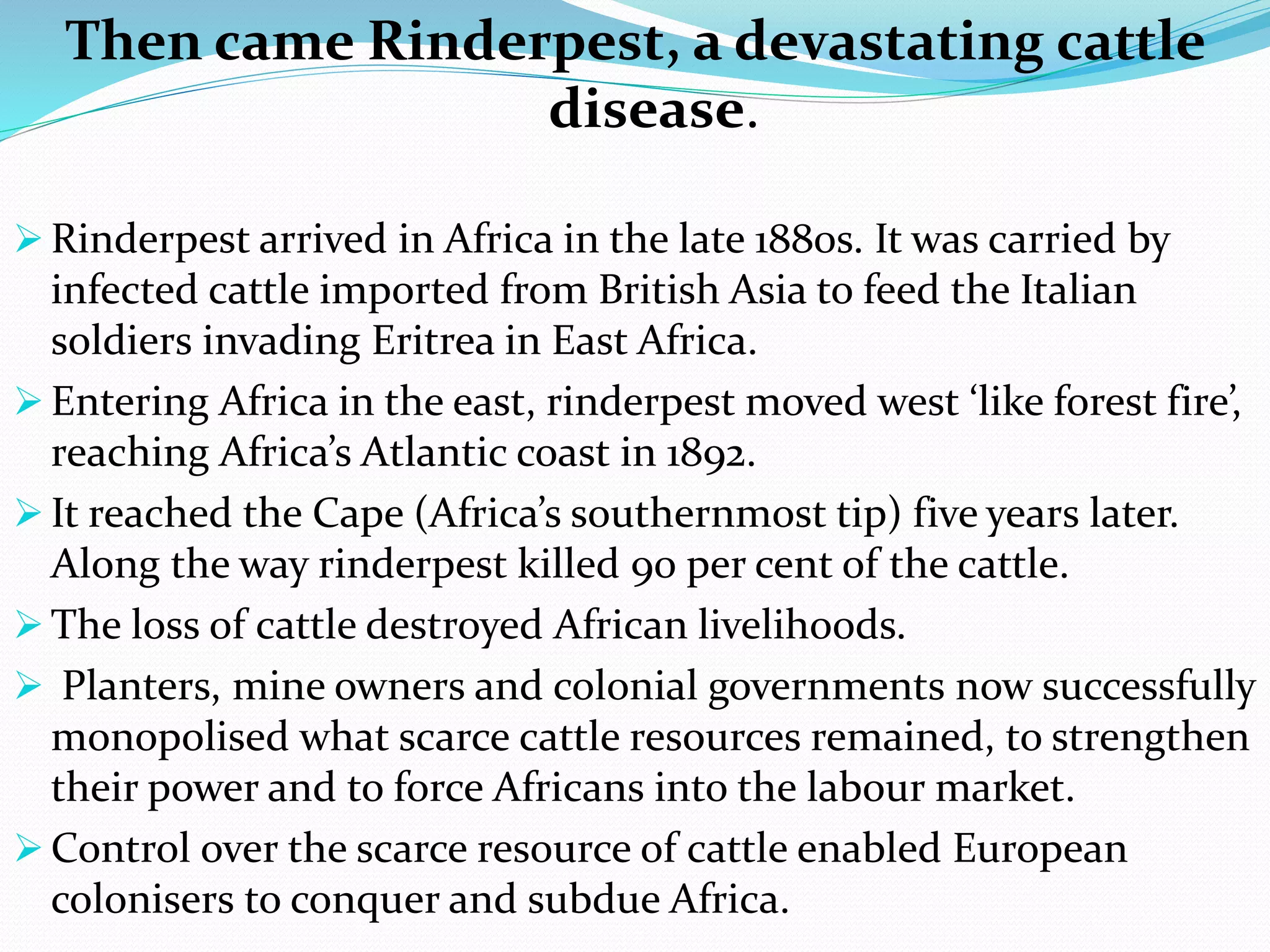 Then came Rinderpest, a devastating cattle
disease.
 Rinderpest arrived in Africa in the late 1880s. It was carried by
infected cattle imported from British Asia to feed the Italian
soldiers invading Eritrea in East Africa.
 Entering Africa in the east, rinderpest moved west ‘like forest fire’,
reaching Africa’s Atlantic coast in 1892.
 It reached the Cape (Africa’s southernmost tip) five years later.
Along the way rinderpest killed 90 per cent of the cattle.
 The loss of cattle destroyed African livelihoods.
 Planters, mine owners and colonial governments now successfully
monopolised what scarce cattle resources remained, to strengthen
their power and to force Africans into the labour market.
 Control over the scarce resource of cattle enabled European
colonisers to conquer and subdue Africa.
 