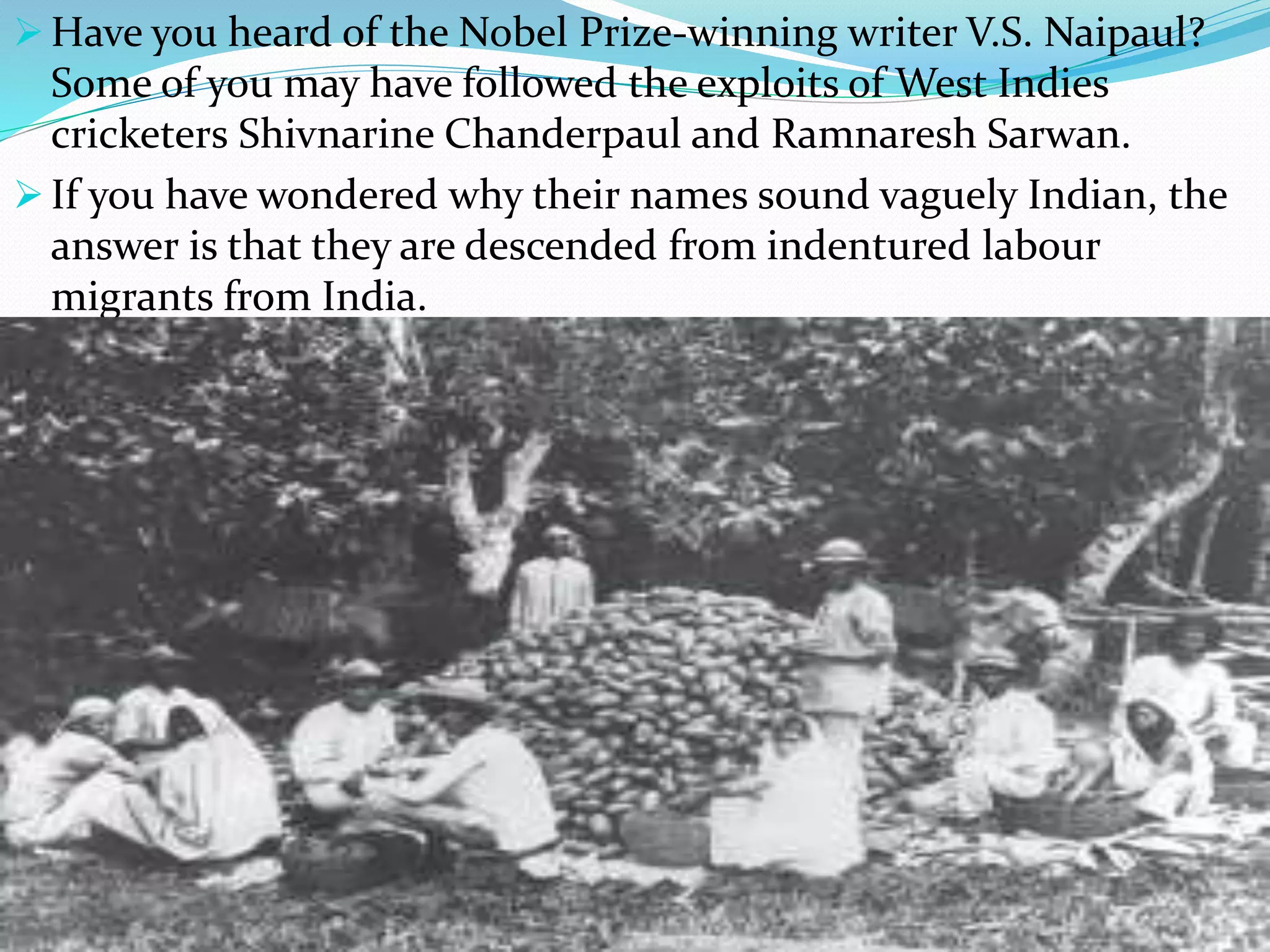  Have you heard of the Nobel Prize-winning writer V.S. Naipaul?
Some of you may have followed the exploits of West Indies
cricketers Shivnarine Chanderpaul and Ramnaresh Sarwan.
 If you have wondered why their names sound vaguely Indian, the
answer is that they are descended from indentured labour
migrants from India.
 