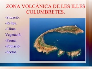 ZONA VOLCÀNICA DE LES   ILLES COLUMBRETES. -Situació. -Relleu. -Clima. Vegetació. -Fauna. -Població. -Sector. 