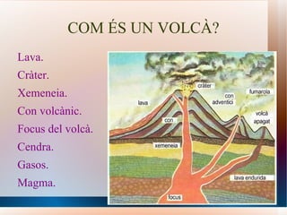COM ÉS UN VOLCÀ? Lava. Cràter. Xemeneia. Con volcànic. Focus del volcà. Cendra. Gasos. Magma. 