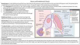 Parietal pleura is a thin epithelium/connective tissue layer that lines the pulmonary cavity and and forms the outer limits of the pleural cavity. The parietal pleura
is subdivided and named according to the structures it covers. The specific regions of the parietal pleura are listed below.
• The costal pleura lines the sternum, ribs, costal cartilages, intercostal muscles, and lateral sides of thoracic vertebral bodies. Sandwiched between the costal
pleura and the musculoskeletal thoracic wall is an areolar connective tissue layer called endothoracic fascia.
• The diaphragmatic pleura lines the diaphragm.
• The mediastinal pleura lines the lateral mediastinum.
• The cervical pleura is a dome-shaped portion of the
parietal pleura that extends into the root of the neck through
the superior thoracic aperture.
CLINICAL ANATOMY: Endothoracic Fascia
The endothoracic fascia provides a surgical plane for the separation of the parietal pleura from the thoracic wall. If pleural adhesions are so dense and extensive
that separating the parietal and visceral layers from each other might cause significant damage to the lung parenchyma, the parietal pleura can be separated from
the endothoracic fascia instead.
Pleura and Endothoracic Fascia
Visceral pleura covers the entire outer surface of the lung including
the lung’s surfaces that are separated by fissures. Due to
its adherence and thinness, it cannot be dissected from the lung.
The pleural cavity is a potential space between the parietal pleura
and visceral pleura that contains a small amount of serous fluid.
Serous fluid in the cavity functions as a lubricant allowing the
visceral and parietal layers to glide against each other during
inspiration and expiration. This fluid also creates a cohesive force
that keeps the lung surfaces in contact with the thoracic wall. If the
cohesive “seal” between the layers is broken, such as occurs with a
penetrating wound of the pleural cavity, the lung will collapse
(atelectasis).
Endothoracic fascia is an areolar connective tissue layer that
separates the parietal pleura from ribs and intercostal muscles.
 