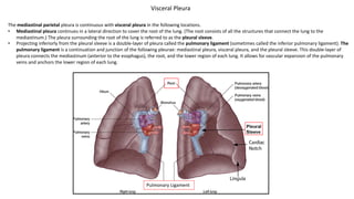 The mediastinal parietal pleura is continuous with visceral pleura in the following locations.
• Mediastinal pleura continues in a lateral direction to cover the root of the lung. (The root consists of all the structures that connect the lung to the
mediastinum.) The pleura surrounding the root of the lung is referred to as the pleural sleeve.
• Projecting inferiorly from the pleural sleeve is a double-layer of pleura called the pulmonary ligament (sometimes called the inferior pulmonary ligament). The
pulmonary ligament is a continuation and junction of the following pleurae: mediastinal pleura, visceral pleura, and the pleural sleeve. This double-layer of
pleura connects the mediastinum (anterior to the esophagus), the root, and the lower region of each lung. It allows for vascular expansion of the pulmonary
veins and anchors the lower region of each lung.
Visceral Pleura
Pulmonary Ligament
 