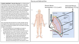 CLINICAL ANATOMY: Pleuritis (Pleurisy) is an inflammation
of the pleura that causes sharp, stabbing pain, especially
upon exertion. Pleurisy often results from viral or bacterial
infections, but may also result from traumatic injury,
tumors, complications of lung diseases such as pneumonia,
TB, lung abscesses, influenza, SLE, or pulmonary embolism.
Pleurisy can be divided into two types: wet and dry. Dry
pleurisy results when the fluid content in the pleural cavity
is not increased. Dry pleurisy more commonly causes sharp
pain during the entire time the pleural membranes are
inflamed. Dry pleurisy can be heard in the stethoscope as a
pleural rub as a result of the inflamed layers rubbing against
each other.
Pain associated with wet pleurisy usually subsides during
the height of the inflammatory process when the pleural
layers are separated by exudate and is less before and after
exudate accumulation.
• The visceral pleura isn't innervated, so no pain is
involved with inflammation of ONLY that layer.
• The parietal pleura is innervated by intercostal nerves
and the phrenic nerve (C3, 4, and 5), so pain can be
"felt" along the thoracic wall and the root of the neck
• Costal Pleura: Thoracic wall and peripheral
diaphragmatic pleura (intercostal nerves)
• Mediastinal pleura/central (most of) diaphragm:
Dermatomes corresponding to C3, 4, and 5
because transmitting nerve is the phrenic nerve.
Phrenic Nerve:
Dermatomes = C 3, 4, and 5
Intercostal Nerves
Dermatomes= T1-T12
Pleurisy and Referred Pain
 