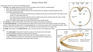Each typical rib (3rd-9th) consist of the following parts.
• The head is the wedge-shaped end of the rib that articulates with at least one vertebral body.
• Note: All ribs (typical and atypical) have a head.
• The heads of typical ribs contain two facets that articulate with two adjacent vertebral bodies and the
intervening intervertebral disk.
• The inferior facet articulates with the thoracic vertebrae of the same numbered level. (The inferior facet
of the 3rd rib articulates with T3.)
• The superior facet articulates with the thoracic vertebrae above the vertebrae with the same number.
(The superior facet of the 3rd rib articulates with T2.)
• NOTE: The atypical ribs (except rib 2) only articulate with one vertebral body.
• The rib neck is a short and flat region of the bone that connects the head to the tubercle.
• The rib (costal) tubercle is a bony protuberance located at the junction of the neck and the rib body. The tubercle
contains a facet that articulates with a corresponding facet on a transverse process of the associated vertebra. (Rib 3
articulates with the transverse process of T3). The tubercles are most prominent in the upper ribs.
Osseous Thorax: Ribs
• The body, also known as the shaft of the rib, is thin, curved, and forms the longest part of the
rib.
• The costal angle is the point of maximal curvature of a rib and is the most lateral
location where the deep back muscles attach to the ribs.
• The costal groove is located on the inferior side of the body along the rib's inner
surface. The groove contains the intercostal neurovascular bundle consisting of an
intercostal nerve and posterior intercostal artery and vein.
 
